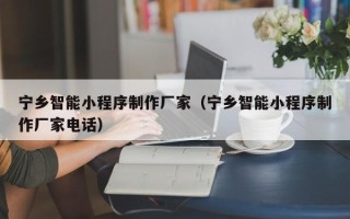 新安宁乡智能小程序制作厂家（宁乡智能小程序制作厂家电话）